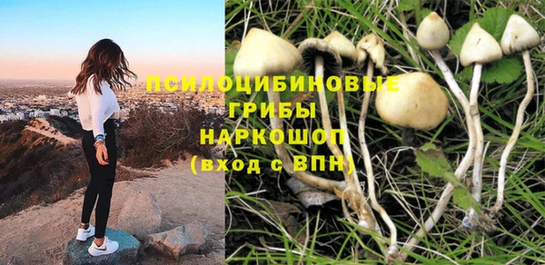 spice Абинск